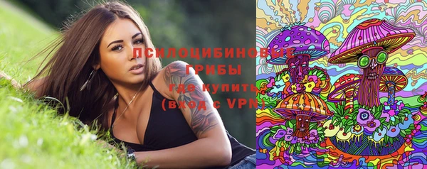 прущие крисы Алексин