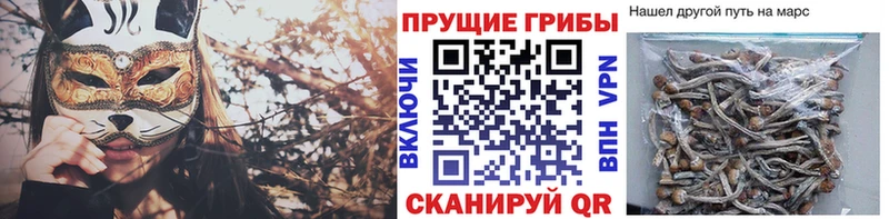 кракен онион  где купить   Ефремов  Галлюциногенные грибы ЛСД 